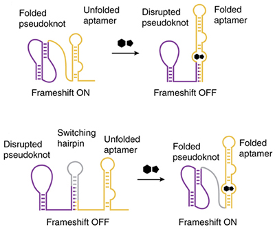 Frameshift switches