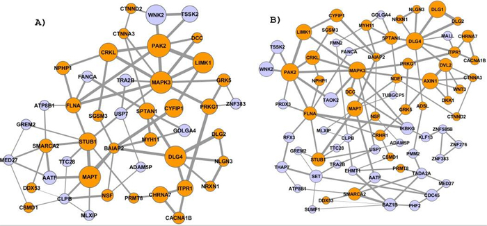 Gene clusters found using NETBAG analysis of de novo CNV regions observed in autistic individuals.