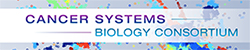 Cancer Systems Biology Consortium