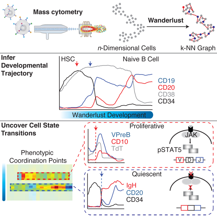 Single-cell analysis using mass cytometry and Wanderlust