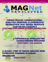 MAGNet Newsletter 2014