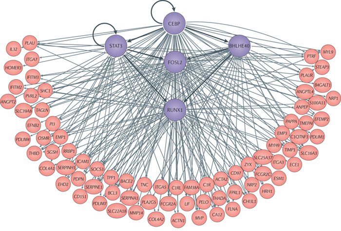 Regulators of mesenchymal GBM subtype