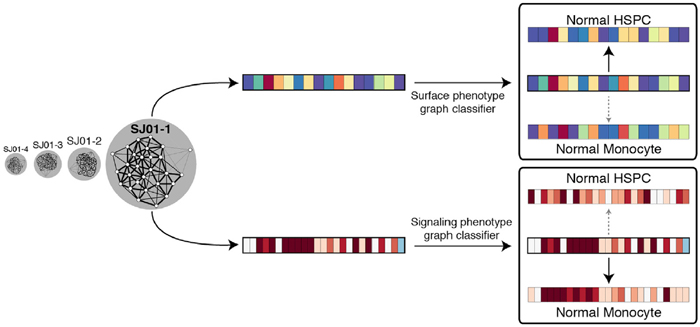 Comparing surface and signaling markers