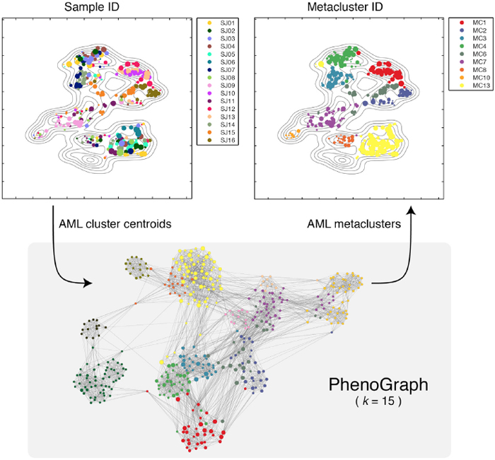 Phenotype metaclustering using PhenoGraph