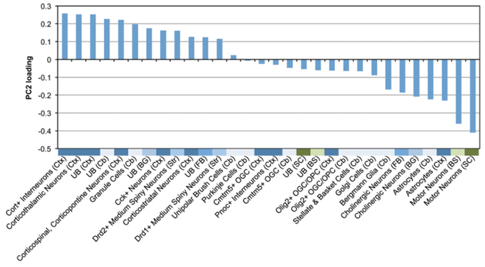 Cell Types in Autism