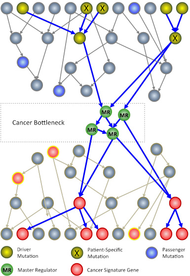 Califano-Cancer Bottleneck