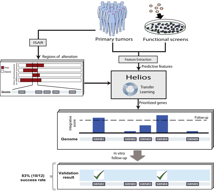 Algorithm overview