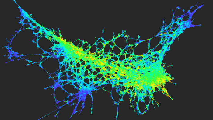 Topology of cancer