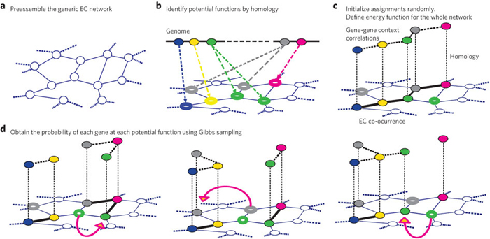 GLOBUS algorithm