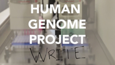 A Grand Challenge for Genome Engineering: GP-write