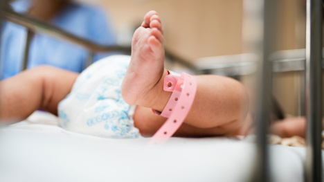 Examining Genetic Risk Factors in Severe Birth Defect