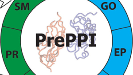 Database of Protein-Protein Interactions Opens New Possibilities for Systems Biology
